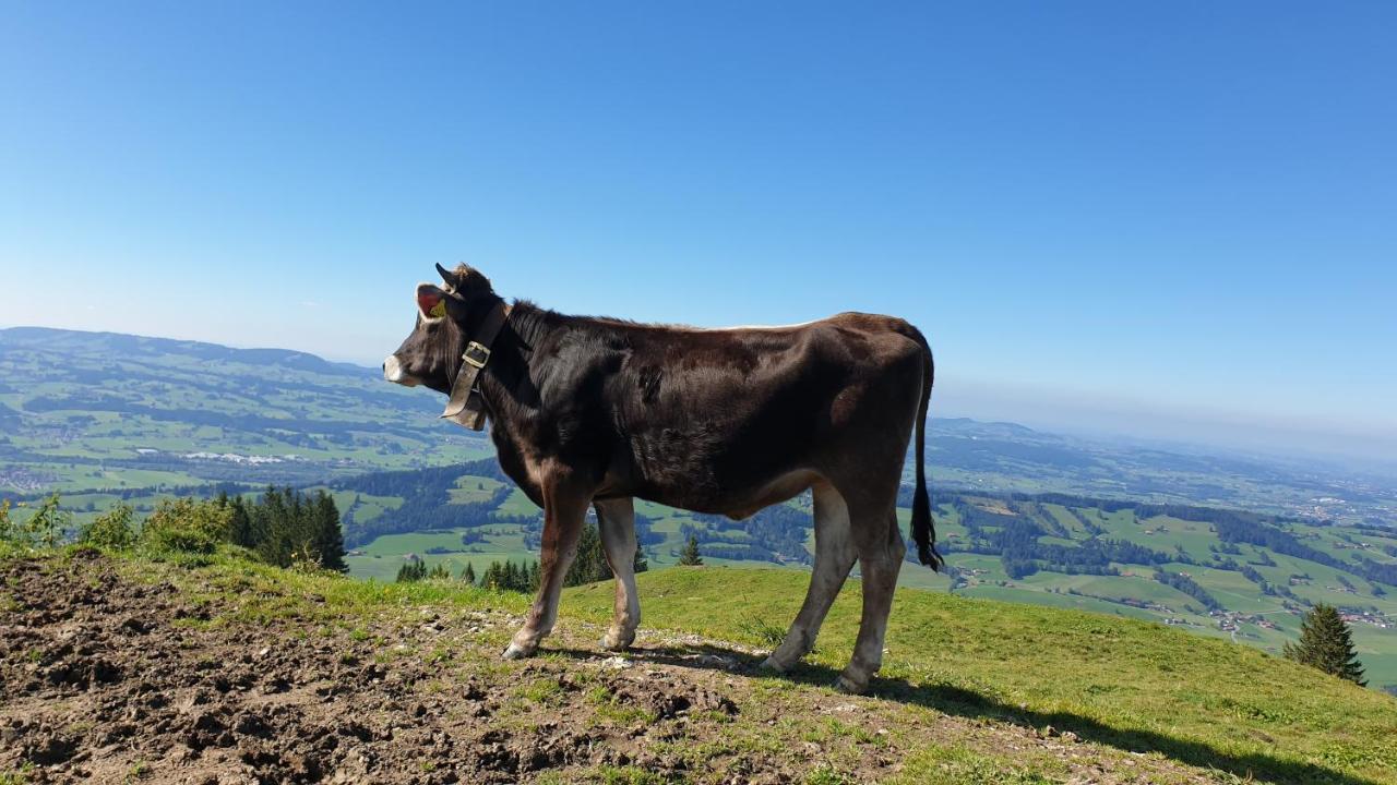 Allgaeu Bergluft Weitnau Eksteriør bilde