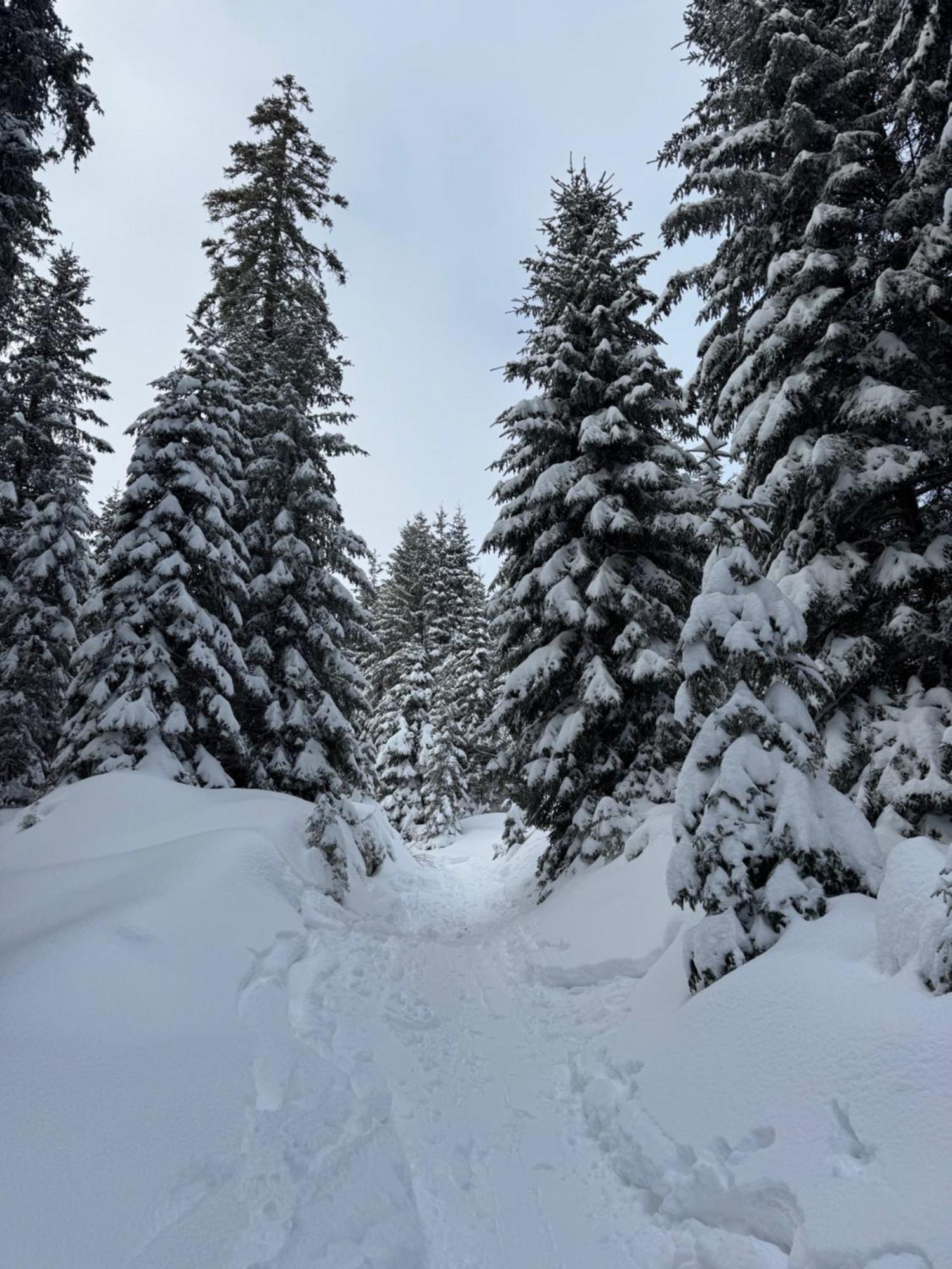Allgaeu Bergluft Weitnau Eksteriør bilde