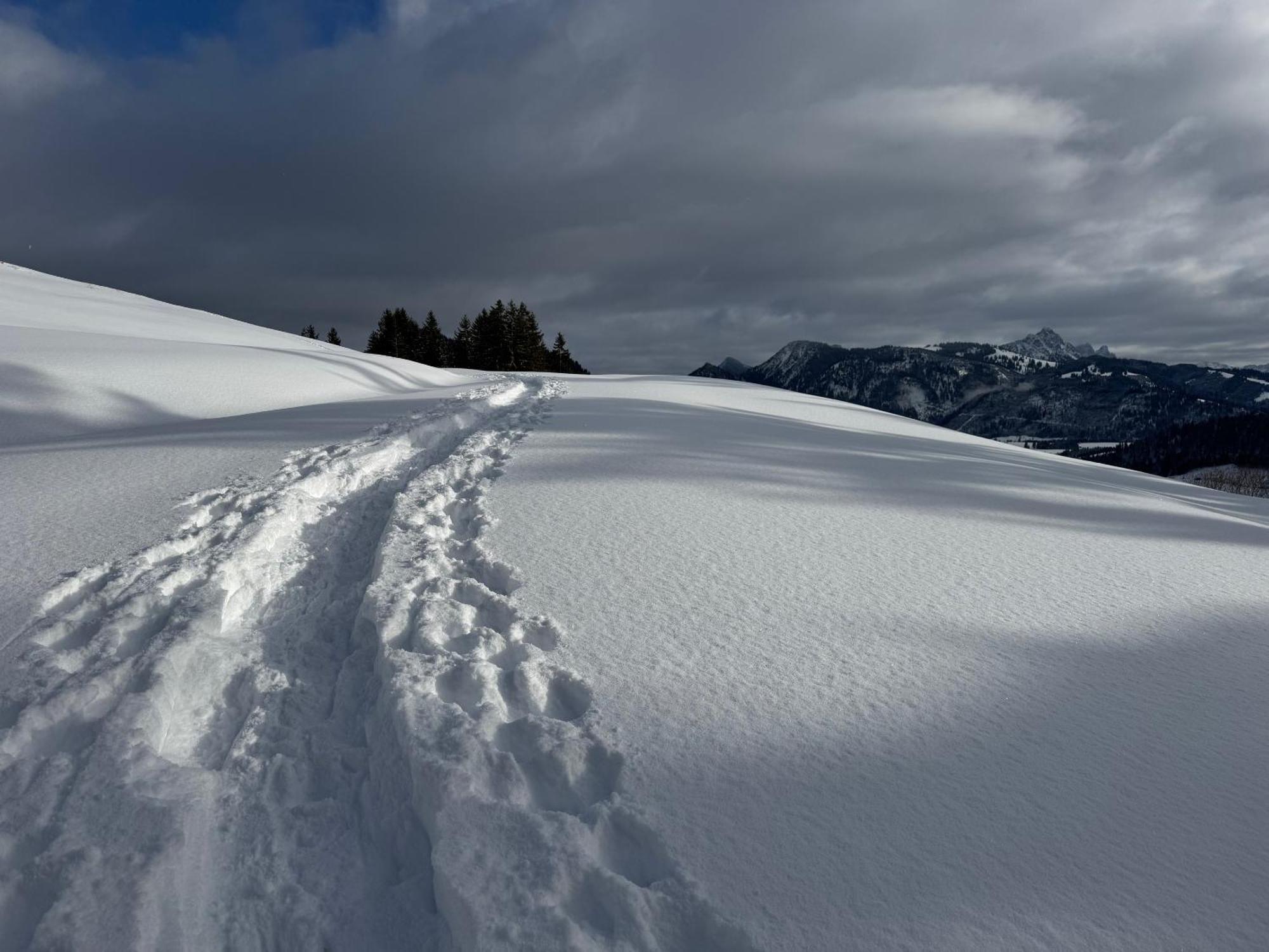 Allgaeu Bergluft Weitnau Eksteriør bilde