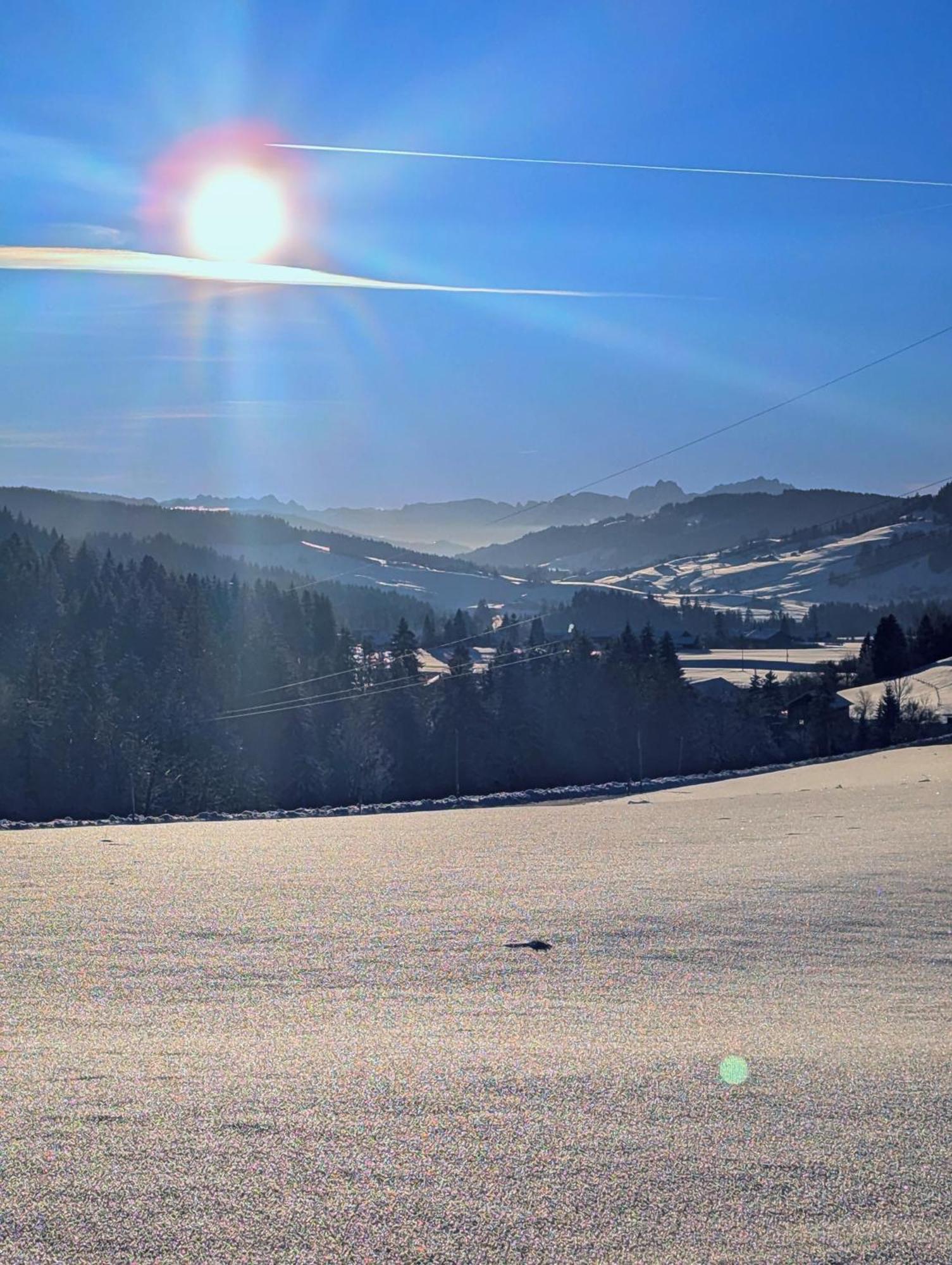 Allgaeu Bergluft Weitnau Eksteriør bilde